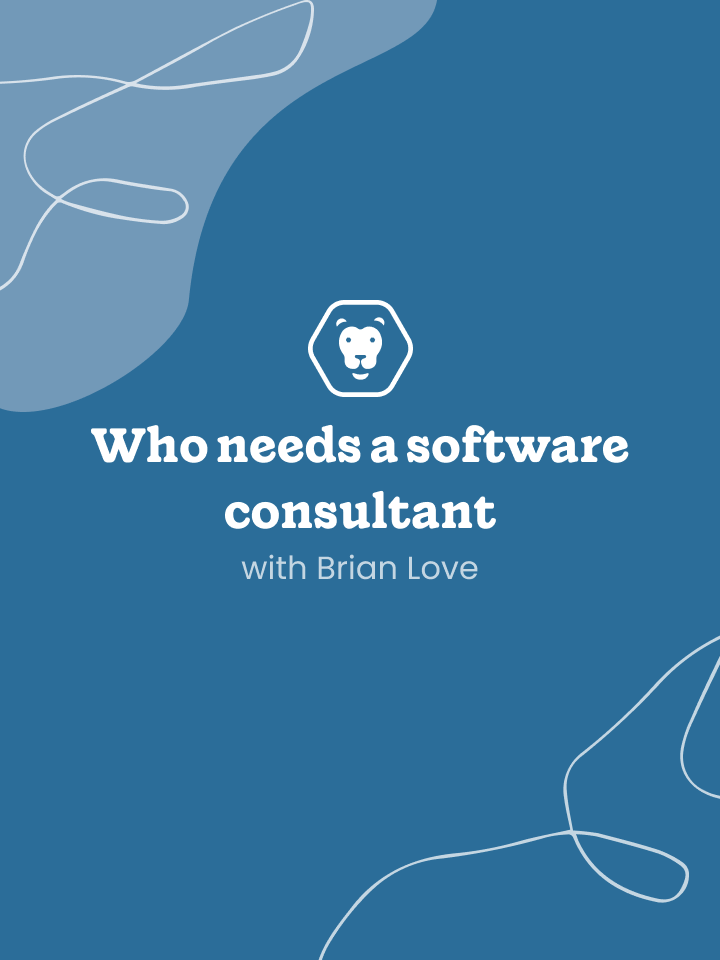 Who needs a software consultant